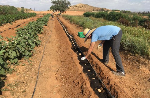 Alumnos del curso de agricultura ecológica
