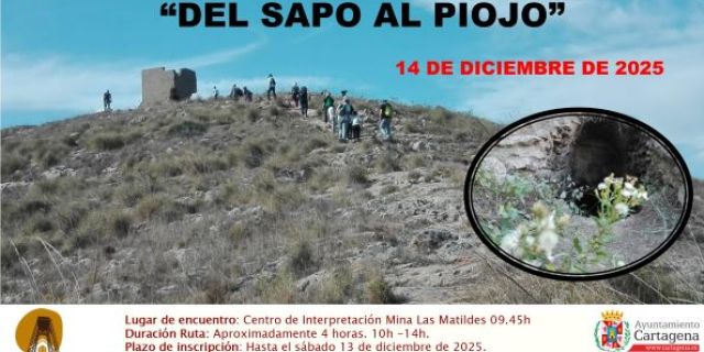 Del sapo al piojo
